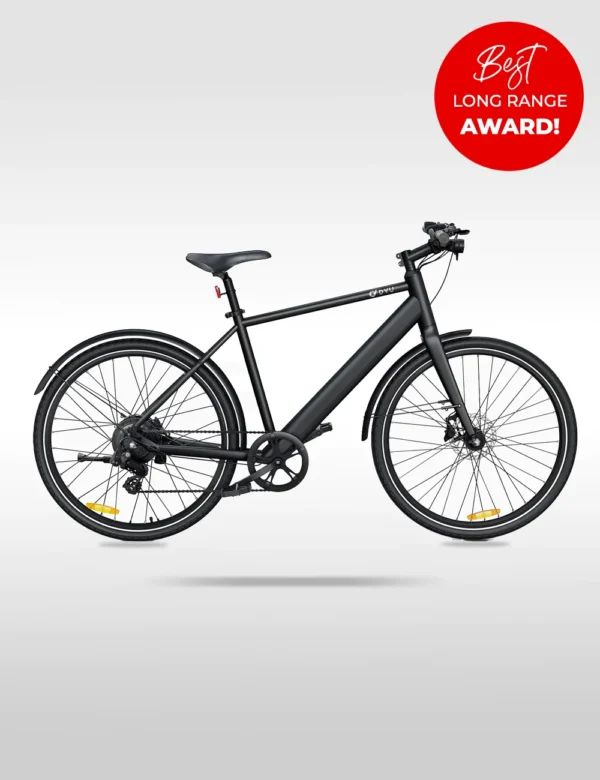 BEST-LONG-RANGE-EBIKE-DYU-STROLL (1)