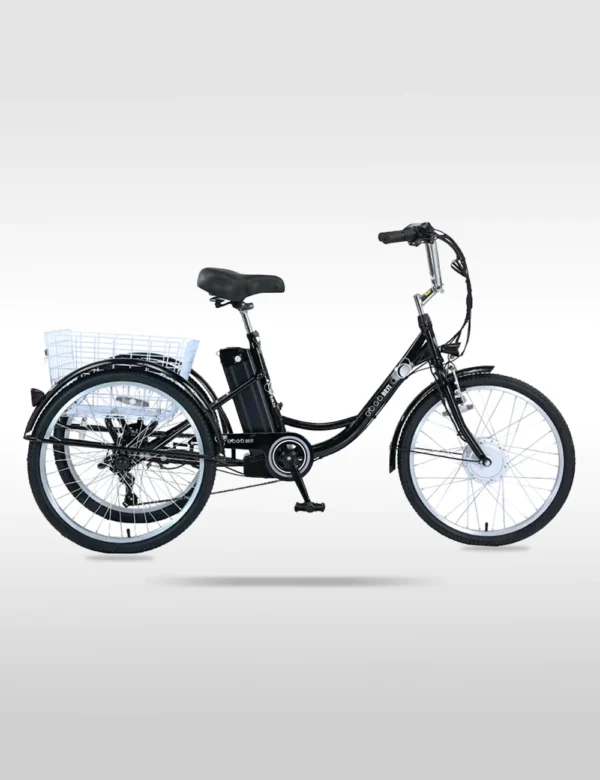 GOGOBEST-GF100 350W Electric City Tricycle Cargo Ebike