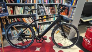 DYU Stroll 1 City Electric Bike - Best Long Range Ebike, Editors Pick! photo review