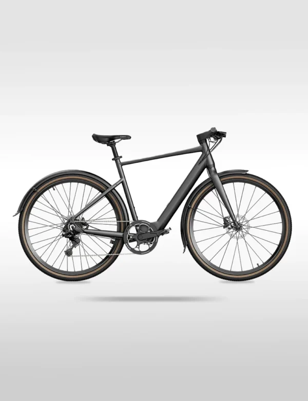 Fiido C21 Lightweight Step-Over Urban Gravel E-Bike