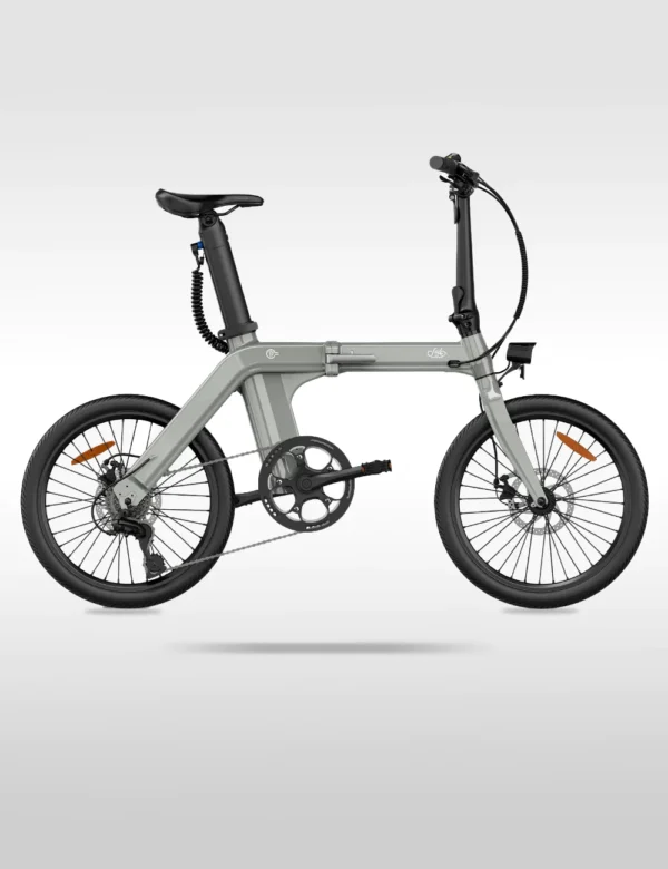 Fiido D11 Folding E-bike