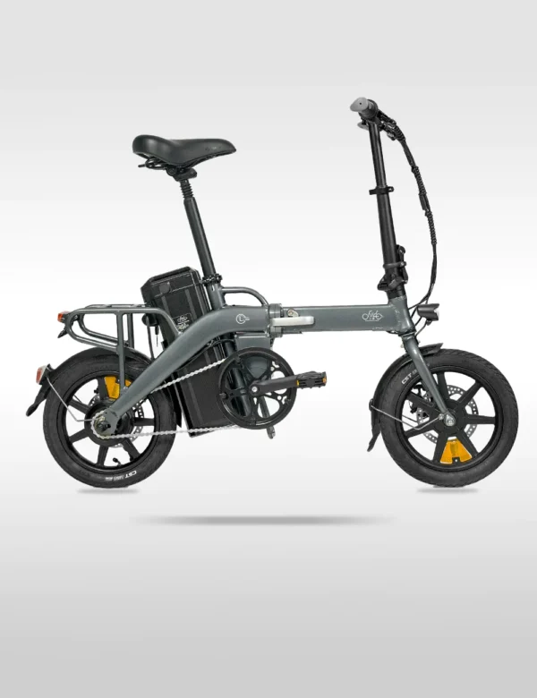 Fiido L3 Long Range Electric Bike