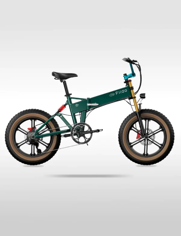 Fiido M1 Pro Fat Tire Electric Bike