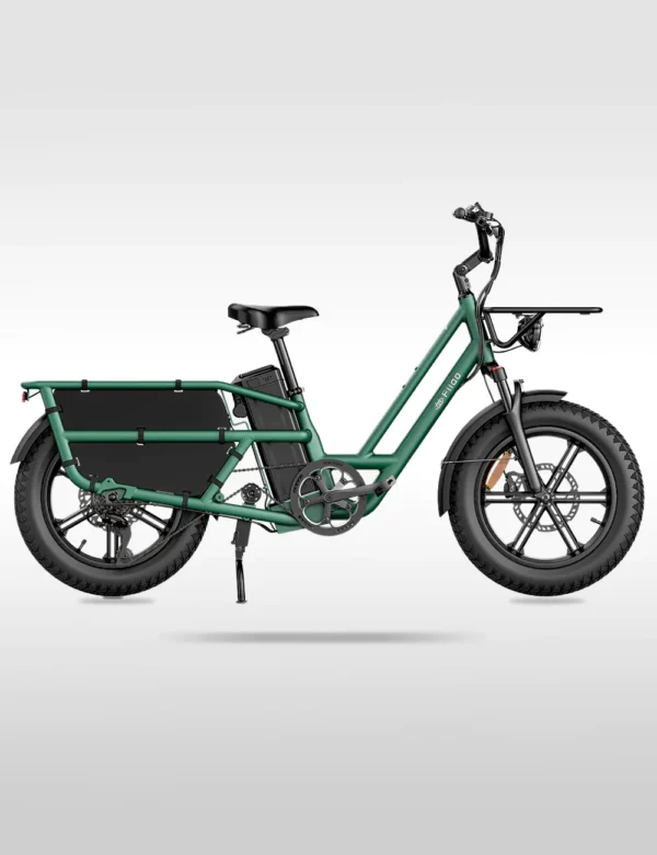 Fiido T2 Longtail Cargo E-bike
