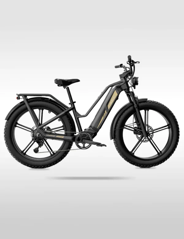 Titan Fat Tire Touring Ebike - Long Range