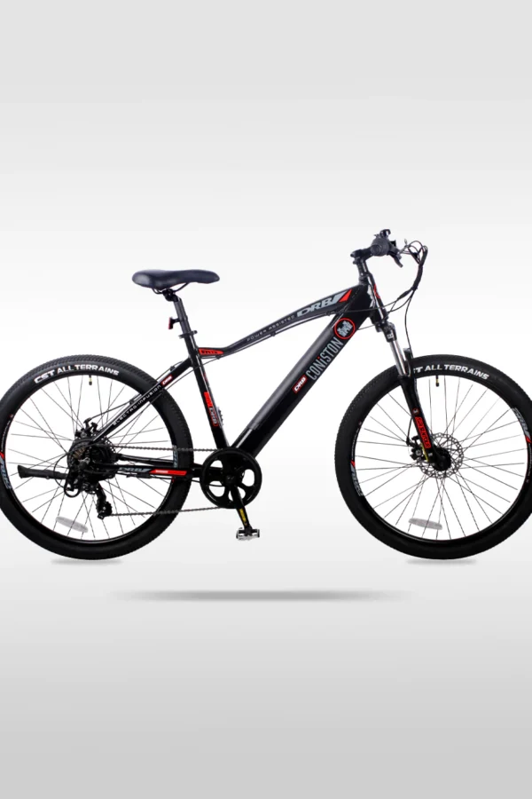 Dallingridge Coniston – 27.5-Inch Electric Mountain Bike